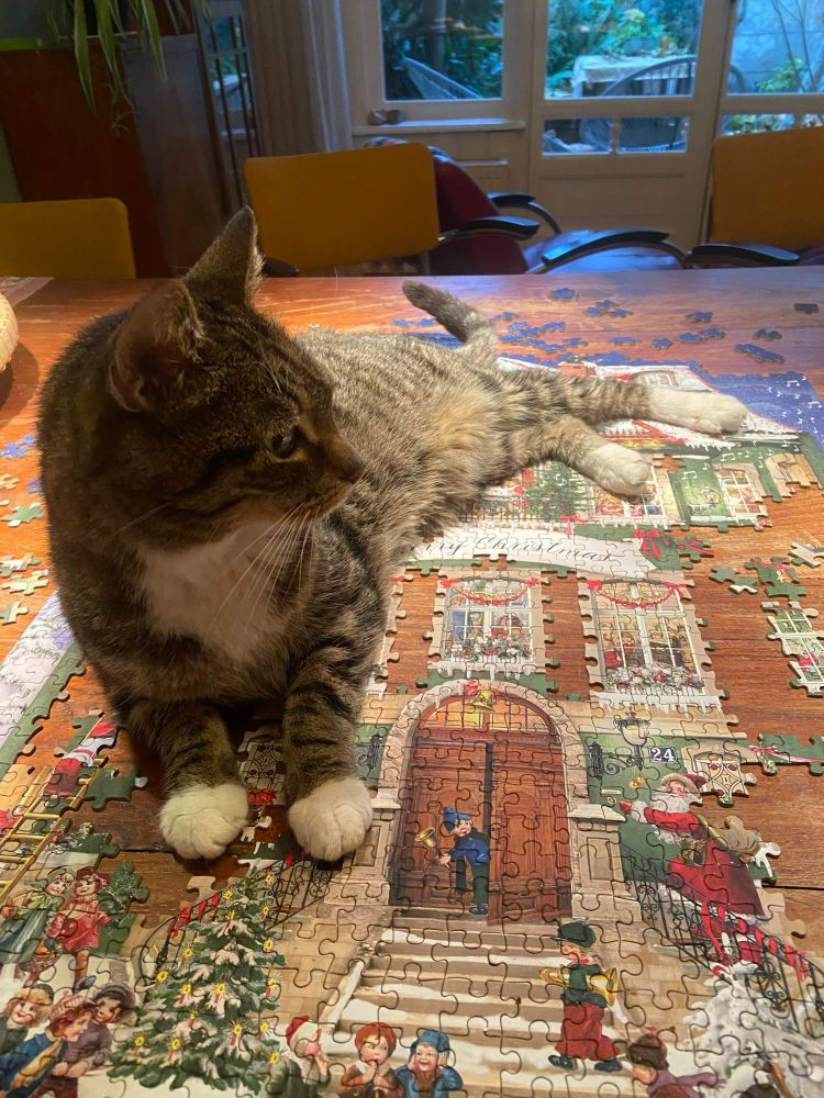 Kat die irritant boven op een legpuzzel ligt. 