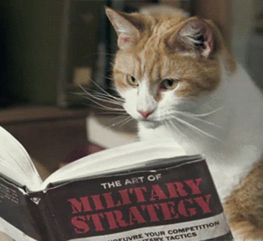 a cat sits next to a book titled the art of military strategy