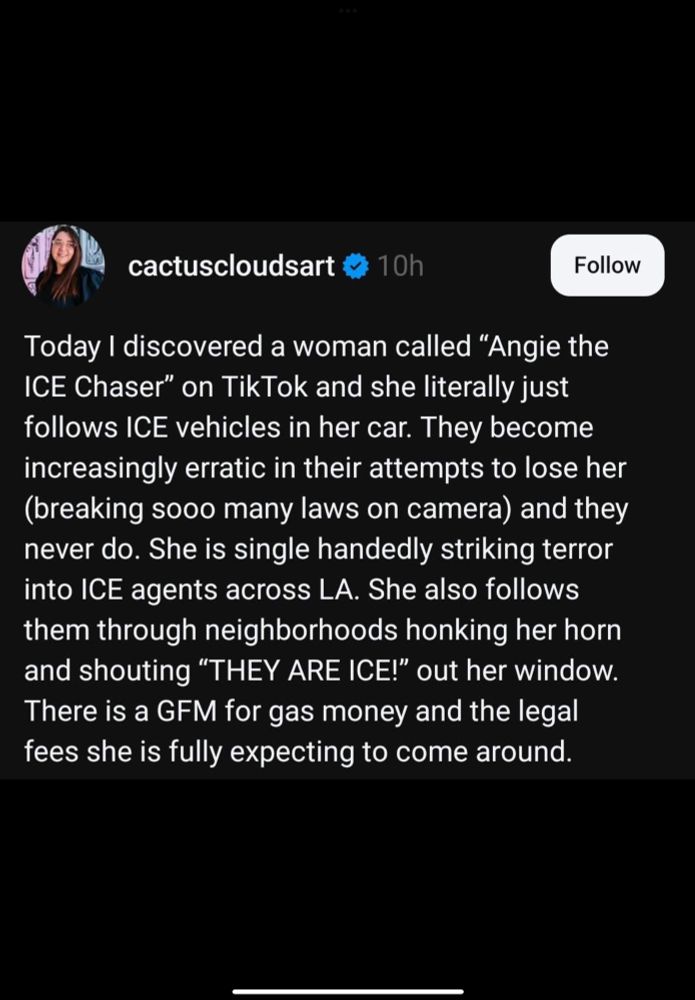cactuscloudsart 
Today I discovered a woman called "Angie the ICE Chaser" on TikTok and she literally just follows ICE vehicles in her car. They become increasingly erratic in their attempts to lose her (breaking sooo many laws on camera) and they never do. She is single handedly striking terror into ICE agents across LA. She also follows them through neighborhoods honking her horn and shouting "THEY ARE ICE!" out her window.
There is a GFM for gas money and the legal fees she is fully expecting to come around.