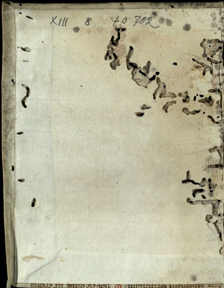 tunnels and small holes in a paper page and the parchment binding. These tunnels are caused by insect larvae - "book worms".