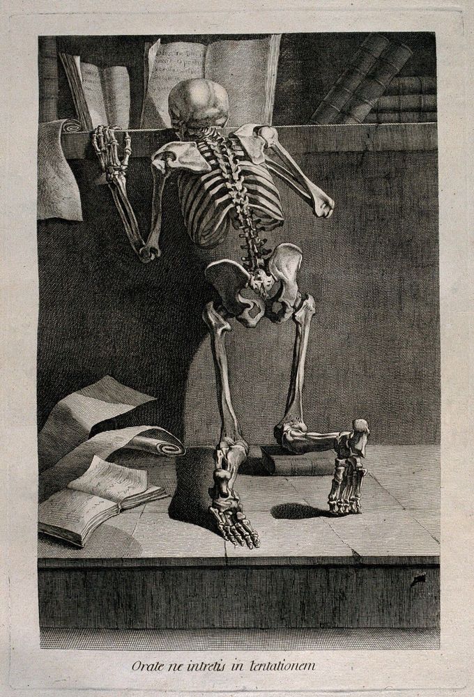 A kneeling skeleton, seen from behind, reading a book on a shelf. 

Etching by or after J. Gamelin, 1778/1779. Wellcome Collection https://wellcomecollection.org/works/zern7znb