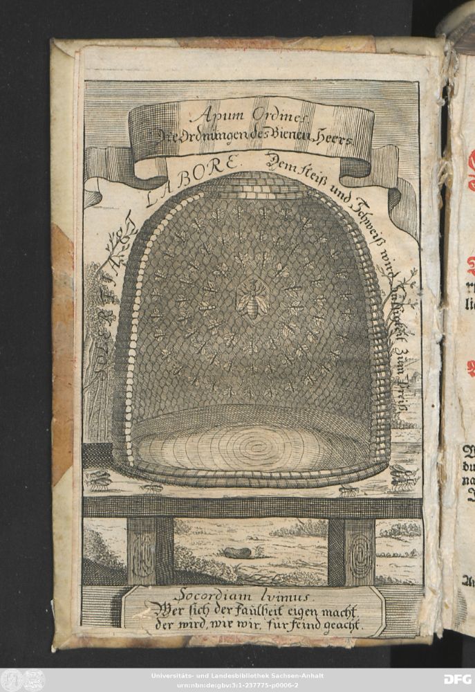 The frontispiece of the mentioned book about bees. Source: https://opendata.uni-halle.de//handle/1981185920/49824 