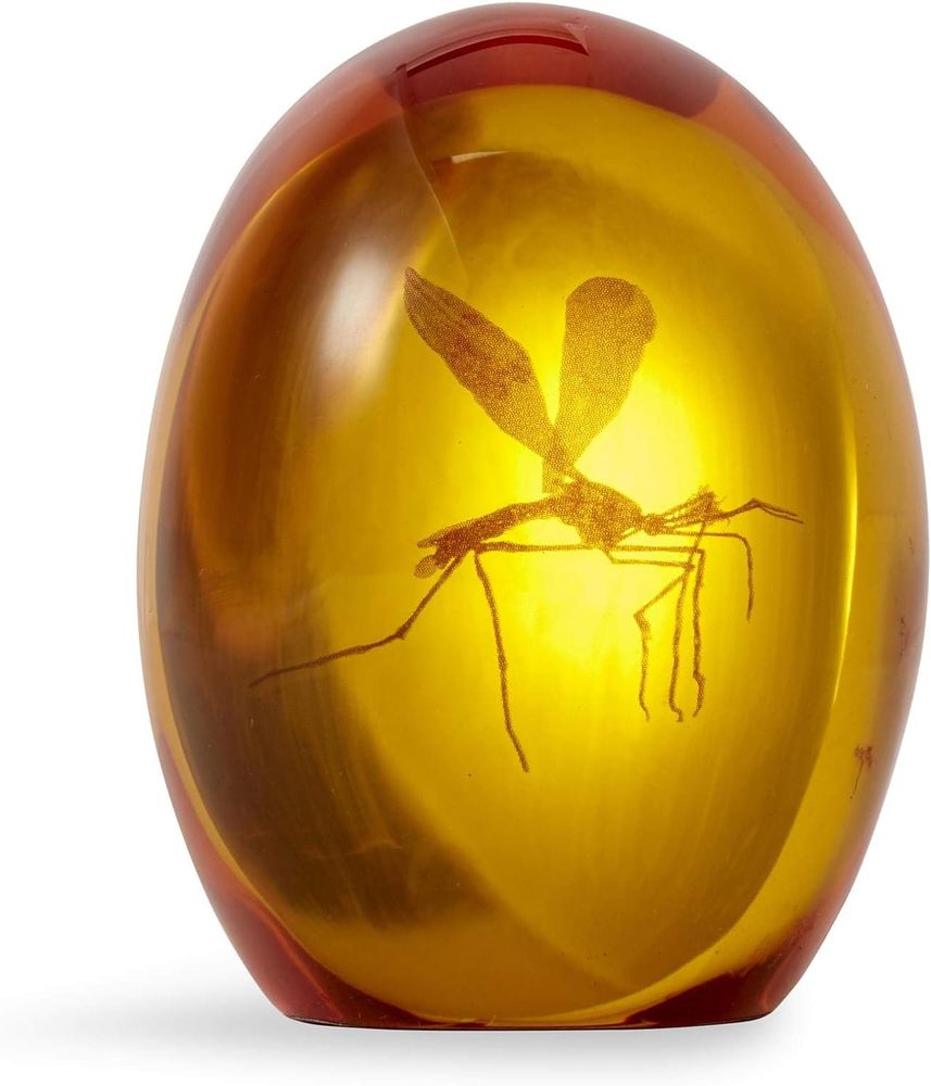 mosquito in amber