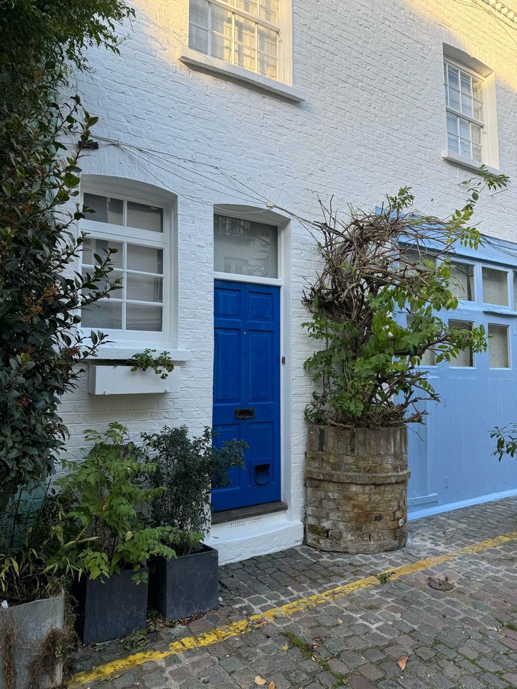 Blue doors on a cobblestone street