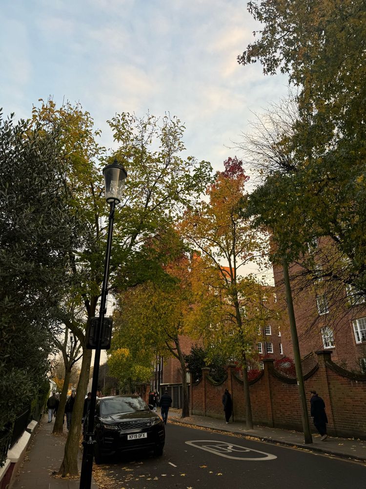 Fall foliage 