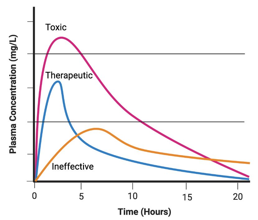 Graph of plasma concentration (ng/L, y axis) versus time (hours). 3 curves show the plasma concentration of a drug over time for low, middle and high dose, revealing different absorption rates. Only the middle curve shows plasma concentrations within the therapeutic range (above “ineffective”) without inducing toxic effects.