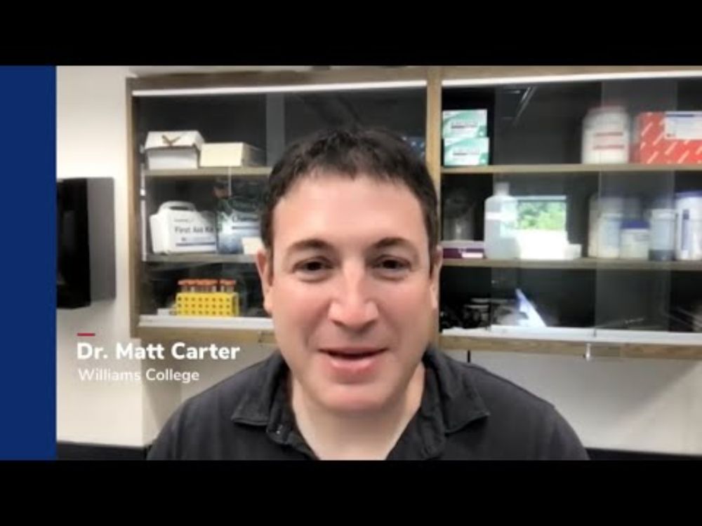 Meet the author: Dr. Matt Carter (Introduction to Behavioral Neuroscience)