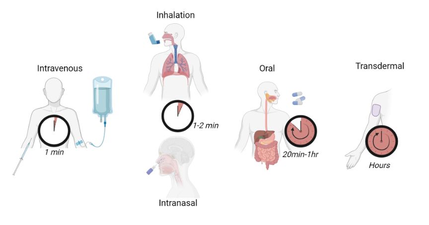 Cartoon representations of drugs being administered intravenously (1min), intranasally (1-2 min), via inhalation (1-2 min), orally (20min-1hr) and transdermal (hours)