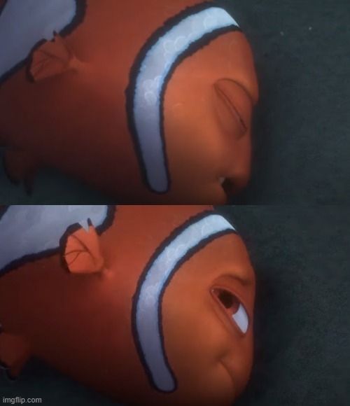 Nemo pretending to be asleep