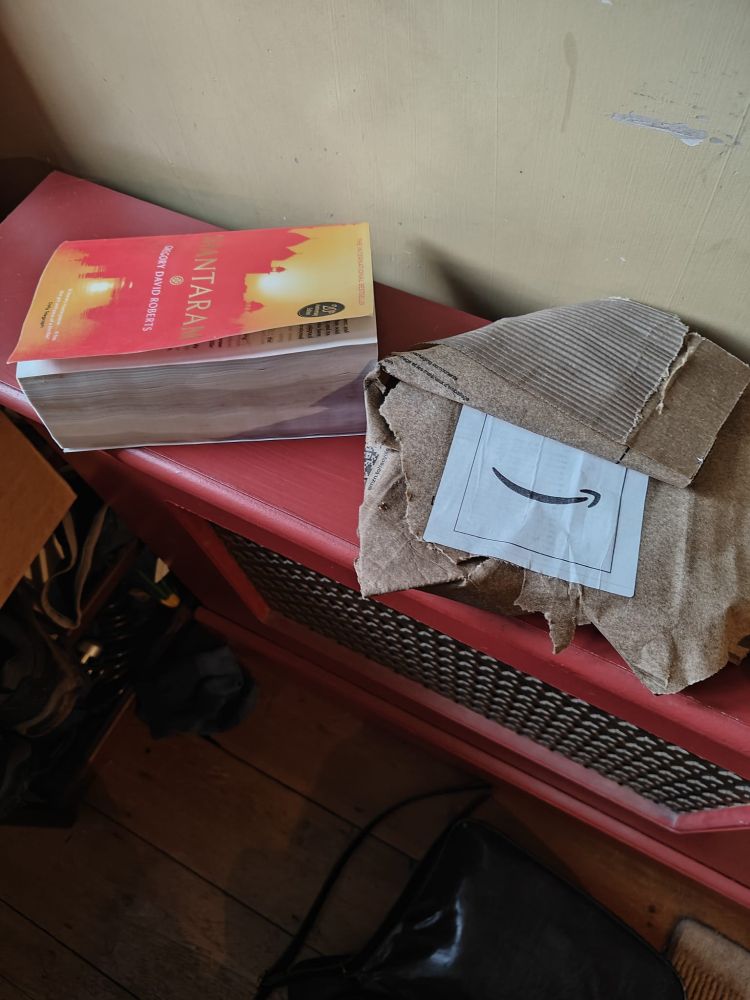 Very soggy book and packaging after Amazon delivered a parcel but failed to alert me to the fact so was outside in torrential rain.