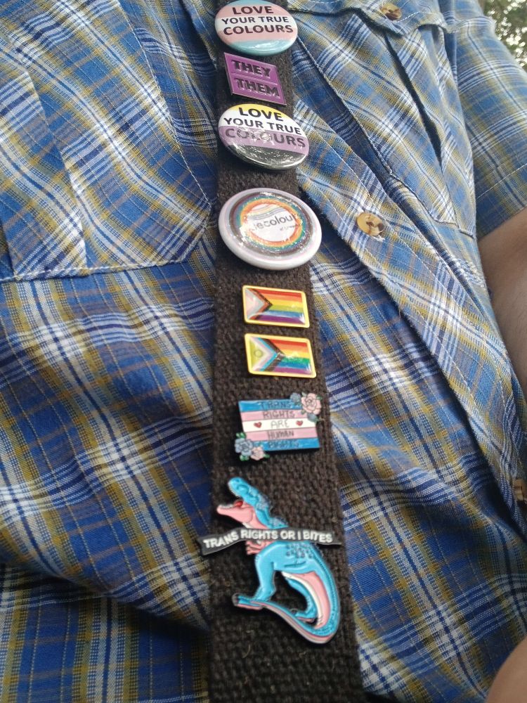 The pins I brought 