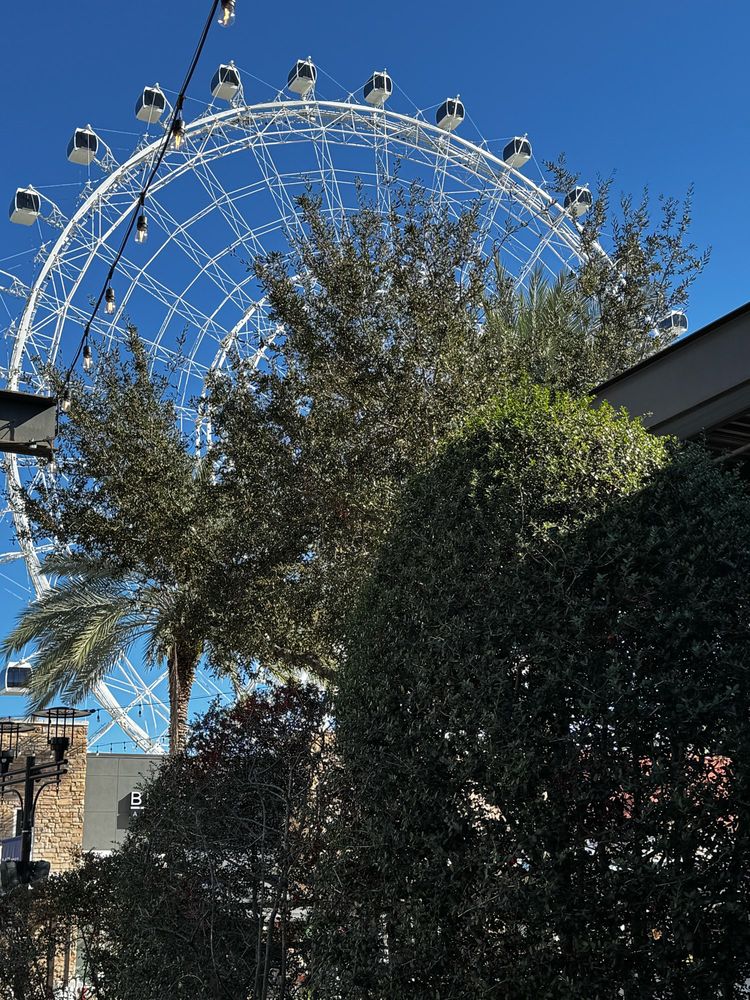 The Orlando Eye Observation Wheel