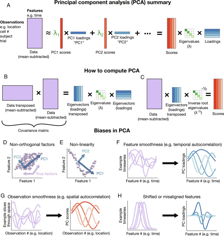 Phantom oscillations in principal component analysis | PNAS