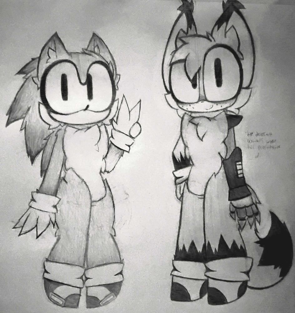 traditional, uncolored drawings of au designs of hog and prowler. they both have more "modern era" proportions. hog has dark fades on his quills and limbs and the shoe buckles sonic has. prowler has black markings on his left arm and legs, his right arm is replaced by a prosthetic. beside prowler is text that says "he doesn't always wear his prosthetic", but it's not very visible (that's thanks to my awful camera sorry)