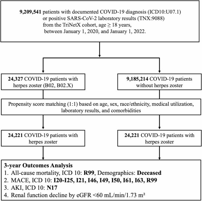 Scientific Reports - Cardiorenal outcomes after herpes zoster reactivation in COVID-19 survivors from a global TriNetX study