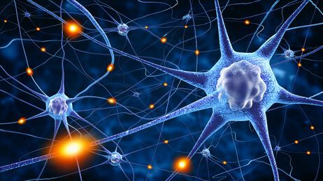 graphic of neural wiring