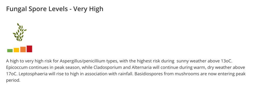 Fungal Spore Levels - Very High. A high to very high risk for Aspergillus/penicillium types, with the highest risk during  sunny weather above 13oC. Epicoccum continues in peak season, while Cladosporium and Alternaria will continue during warm, dry weather above 17oC. Leptosphaeria will rise to high in association with rainfall. Basidiospores from mushrooms are now entering peak period.