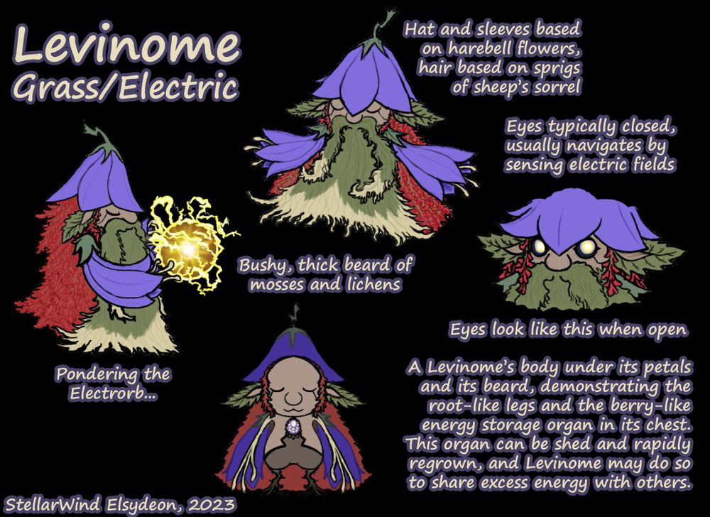 Additional concept art for Levinome, a Grass/Electric fanmade Pokémon native to the Norrvalo region. 

The image includes a more-or-less front view, with text describing "Hat and sleeves based on harebell flowers, hair based on sprigs of sheep's sorrel" and "Bushy, thick beard of mosses and lichens", a front view not including the beard and some of the petals, with the description "A Levinome's body under its petals and its beard, demonstrating the root-like legs and the berry-like energy storage organ in its chest. This organ can be shed and rapidly regrown, and Levinome may do so to share excess energy with others.". Another image is a close-up on Levinome's face, with its typically-closed eyes actually open (they have glowing yellow-set-within-a-bluish-ring irises set in black sclera, giving them an unsettling appearance) and the label "Eyes typically closed, usually navigates by sensing electric fields. Eyes look like this when open."

Finally, there is a side-view of a Levinome charging an Electro Ball move held in its hands like a wizard, with the caption "Pondering the Electrorb...", because I'm silly.