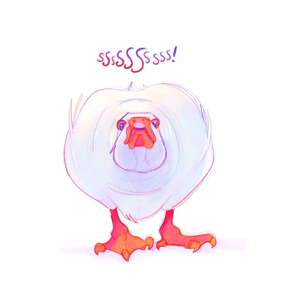 Rough drawing and character design of an emden goose named Brittany charging head on at the camera and hissing.