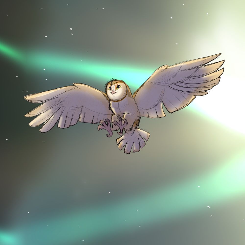 Fanart stylized 2d illustration of Soren the owl from Legends of The Guardians the Owls of Ga'Hoole.  Soren is flying happily in the night sky with an aurora borealis and stars in the background.