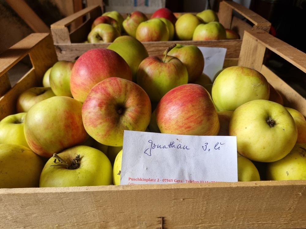 Eine Stiege Äpfel, vorn lehnt ein Zettel an den Äpfeln. Darauf steht handschriftlich "Jonathan.  3. li"