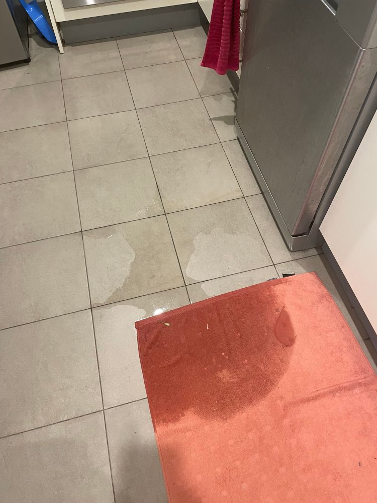 Photo of kitchen tiles showing dishwasher leaking water across kitchen floor. Saturated towel for context. 