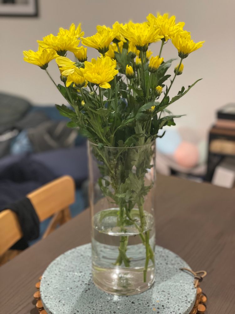 Photo of yellow crysanthemum flowers in vase on dining room table
