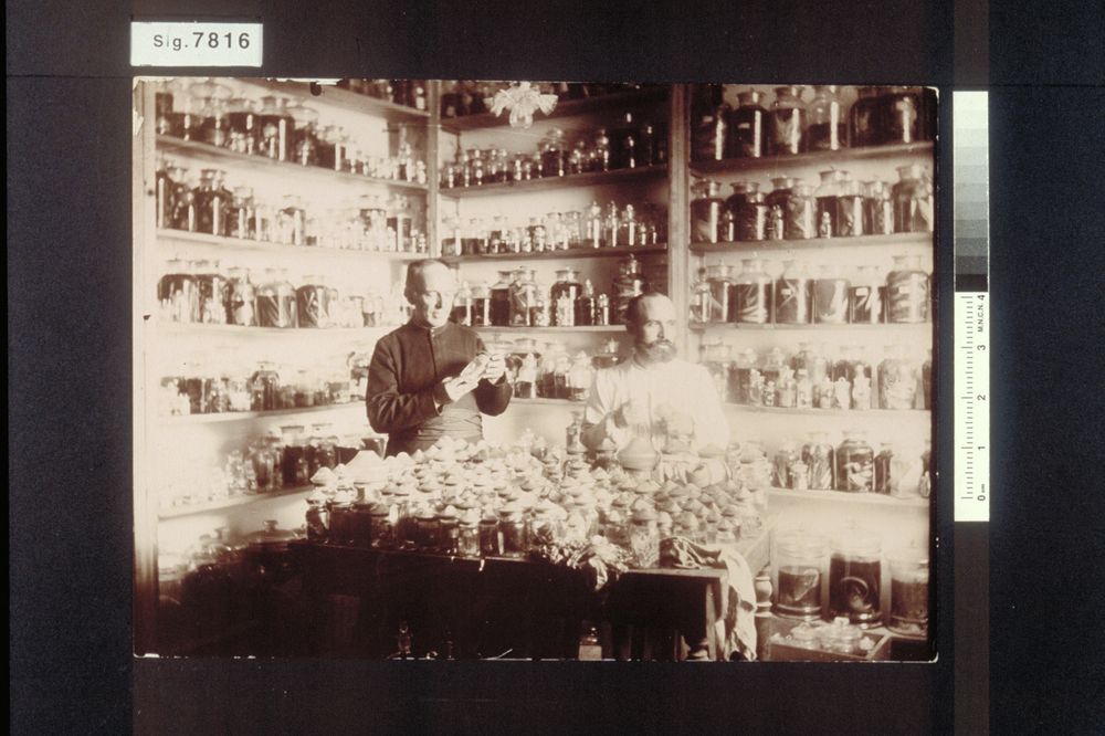Depósito de la colección de muestras. Estación de Biología Marina de Santander Museo Nacional de Ciencias Naturales (España). 1907