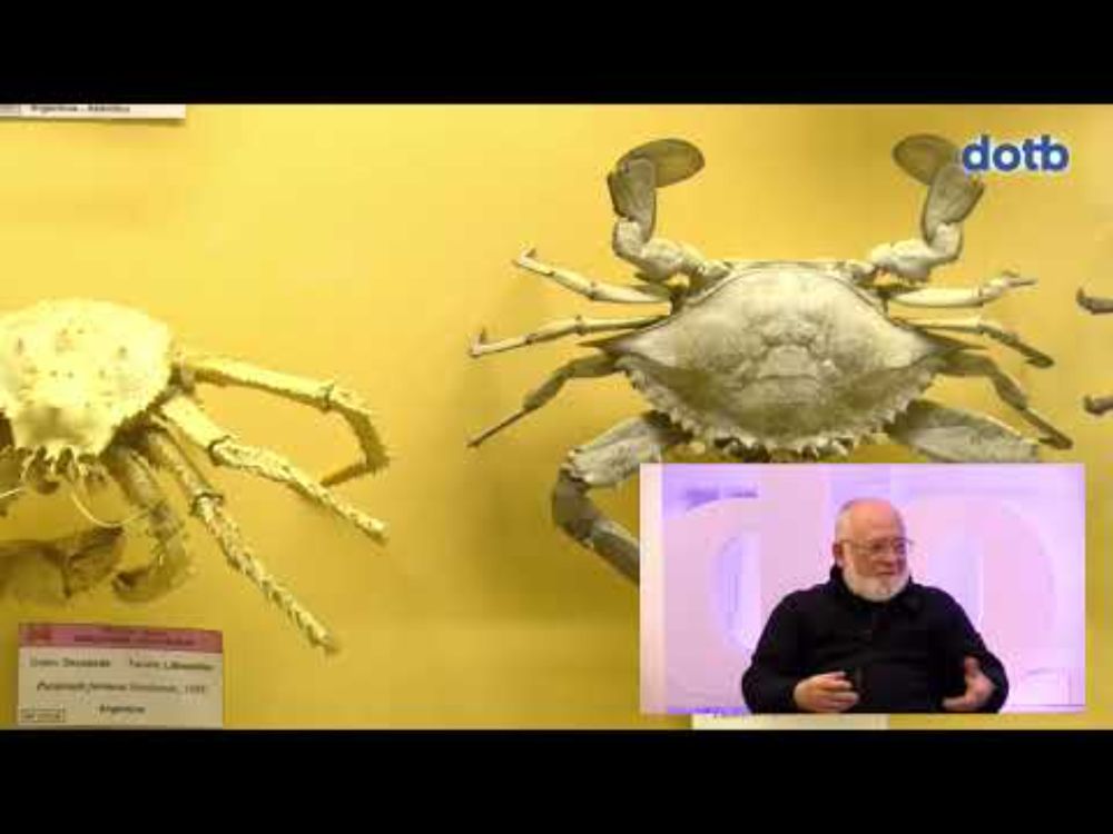 #dotb #biok Hablamos del décimo aniversario de Hontza Museoa con su presidente Enrique Huerta