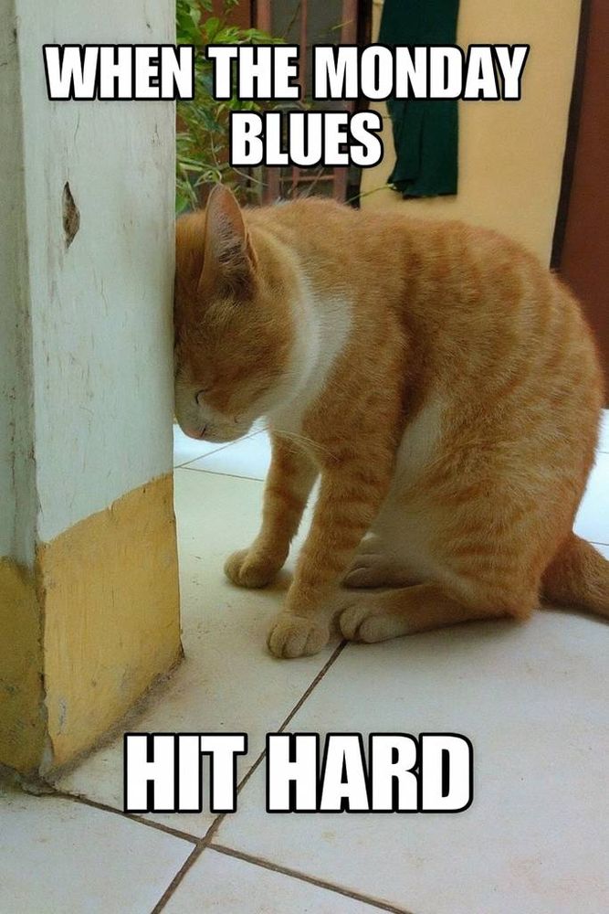 Monday hits like a .......