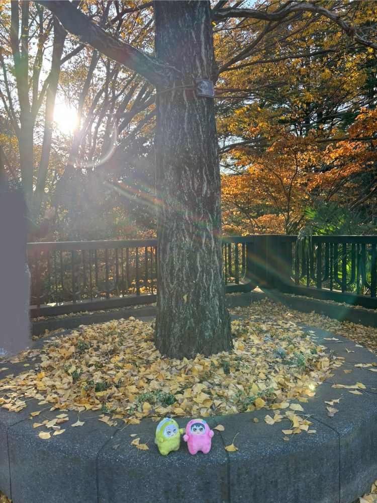 秋とモンちゃんたち