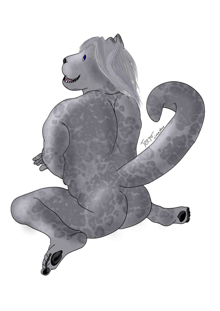 A chubby snow leopard with legs splayed out looking back at the camera. 