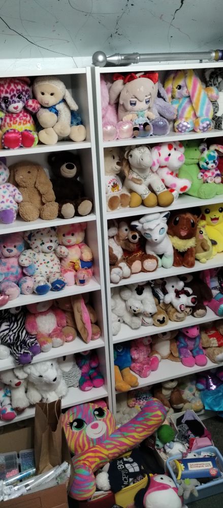 two bookshelves covered in build-a-bears