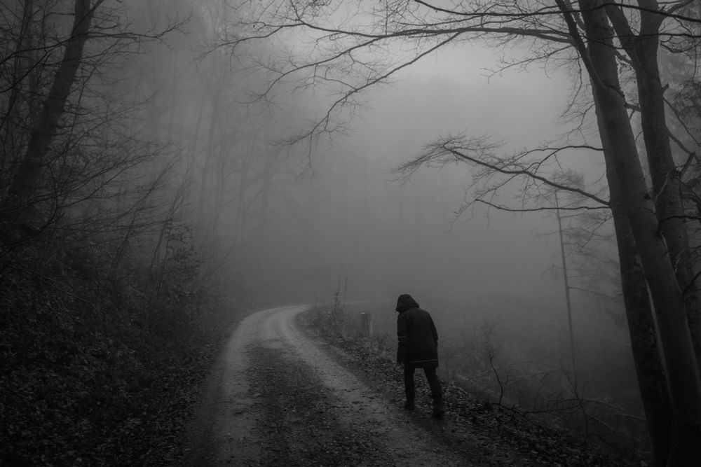 A person walks along a winding, gravel path in a foggy forest setting, surrounded by bare trees and a misty atmosphere. The image is in black and white, enhancing the moody and atmospheric quality.