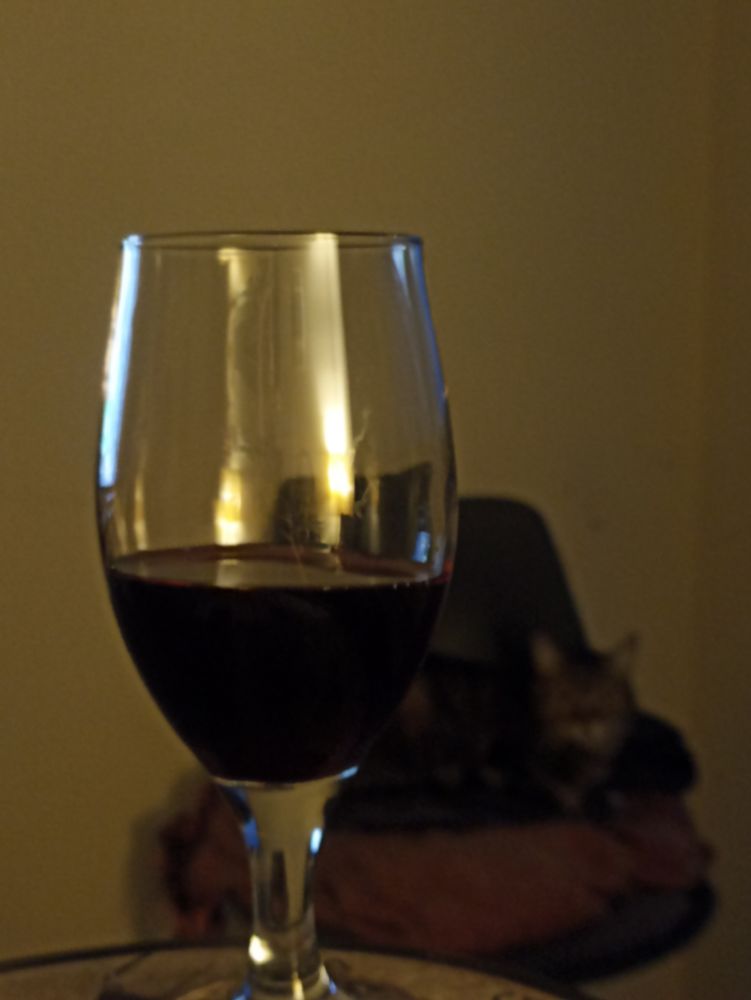 Taça de vinho com o gato ao fundo em comemoração a fascista preso!