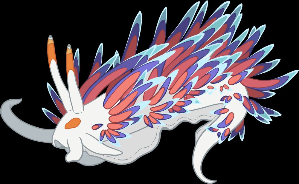 A sea slug with an off white body, orange tipped 'antennae' and red, blue and icy blue striped 'quills'. 