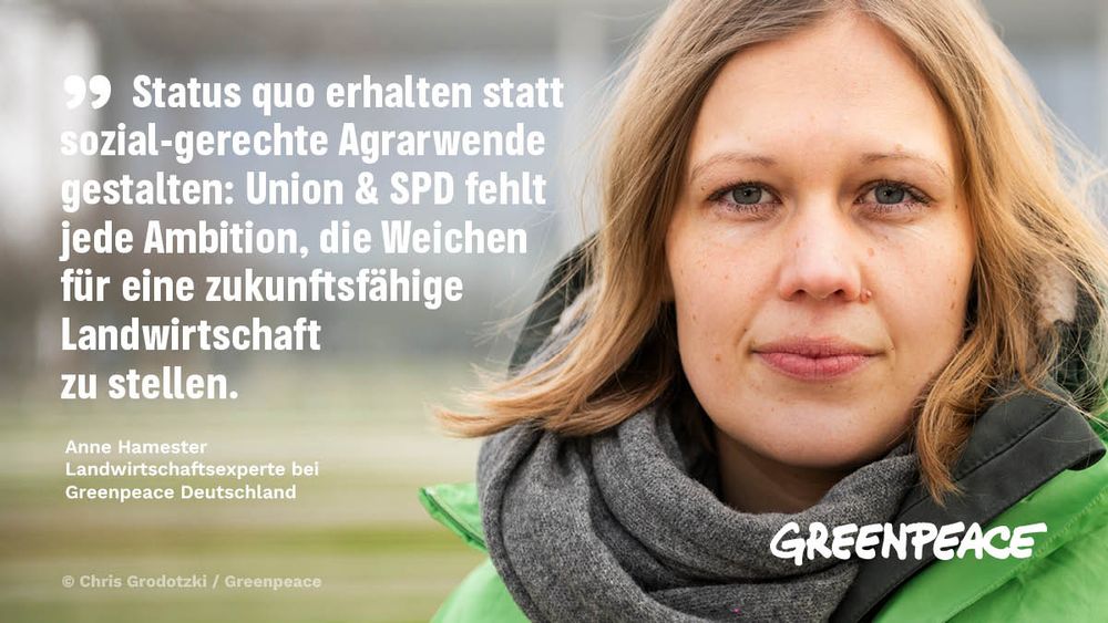 Ein Foto von Anne Hamester, Landwirtschaftsexpertin bei Greenpeace Deutschland. Daneben ein Zitat: "Status quo erhalten statt sozial-gerechte Agrarwende gestalten: Union & SPD fehlt jede Ambition, die Weichen für eine zukunftsfähige Landwirtschaft zu stellen."