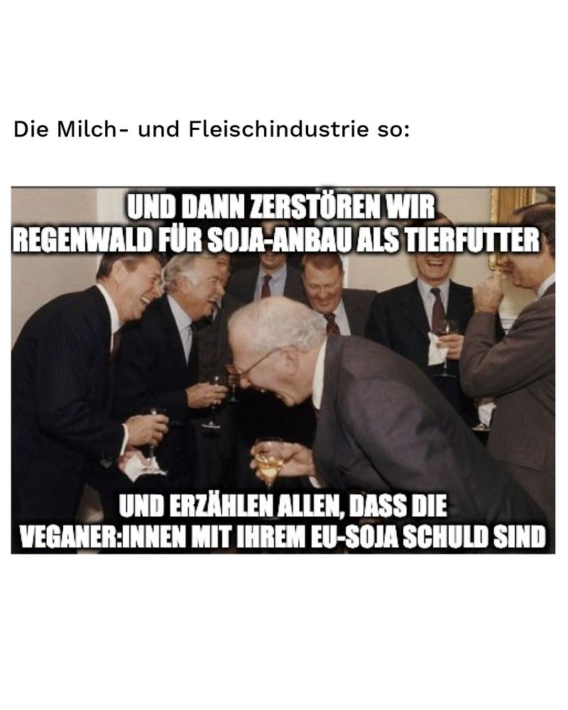 Meme mit der Überschrift "Die Milch- und Fleischindustrie so:" Dann viele ältere weiße Männer in Anzügen und Getränk in der Hand, die übermäßig stark lachen. Auf dem Bild steht "Und dann zerstören wir den Regenwald für Soja-Anbau als Tierfutter ... und erzählen allen, dass die Veganer:innen mit ihrem EU-Soja schuld sind."