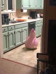 Pinkie Pie pumpkin in the middle of the kitchen, looking creepy.