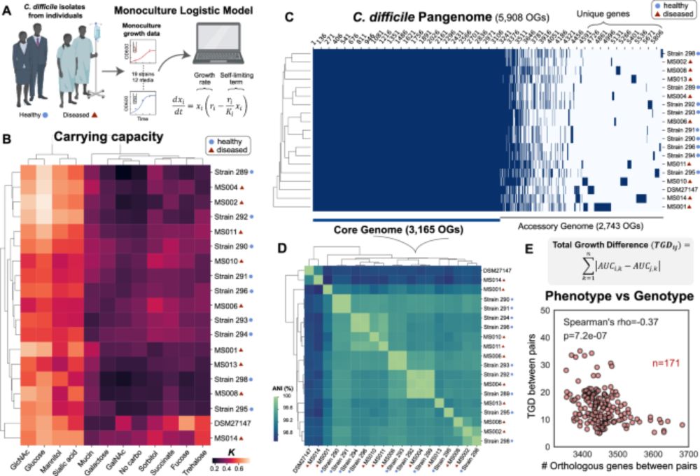 Elucidating human gut microbiota interactions that robustly inhibit diverse Clostridioides difficile strains across different nutrient landscapes - Nature Communications