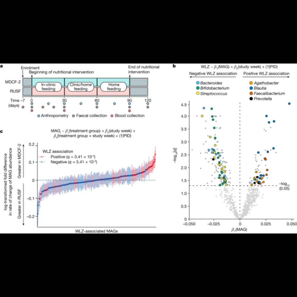 Bioactive glycans in a microbiome-directed food for children with malnutrition - Nature