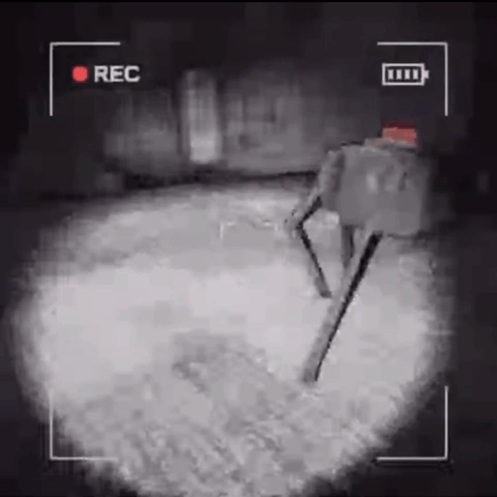 a black and white video of a person standing in a dark room with a red rec button .