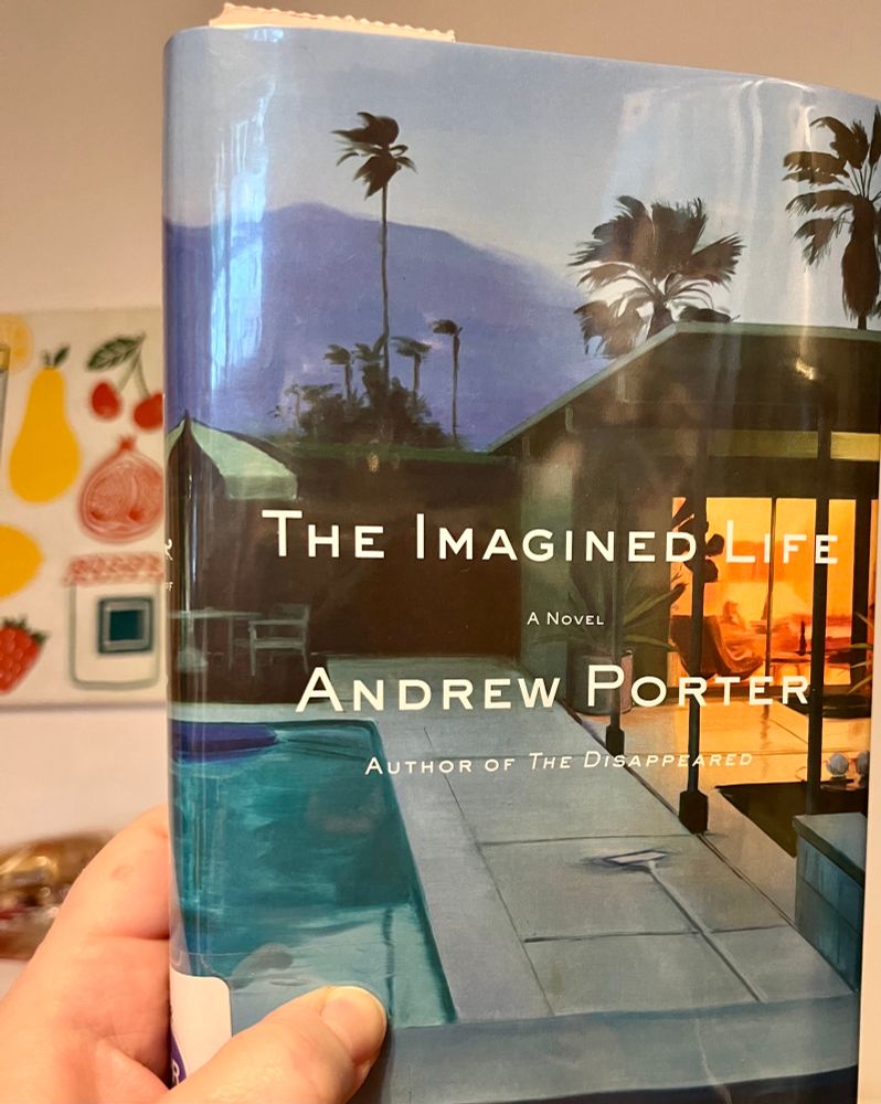 Copy of The Imagined Life by Andrew Porter 