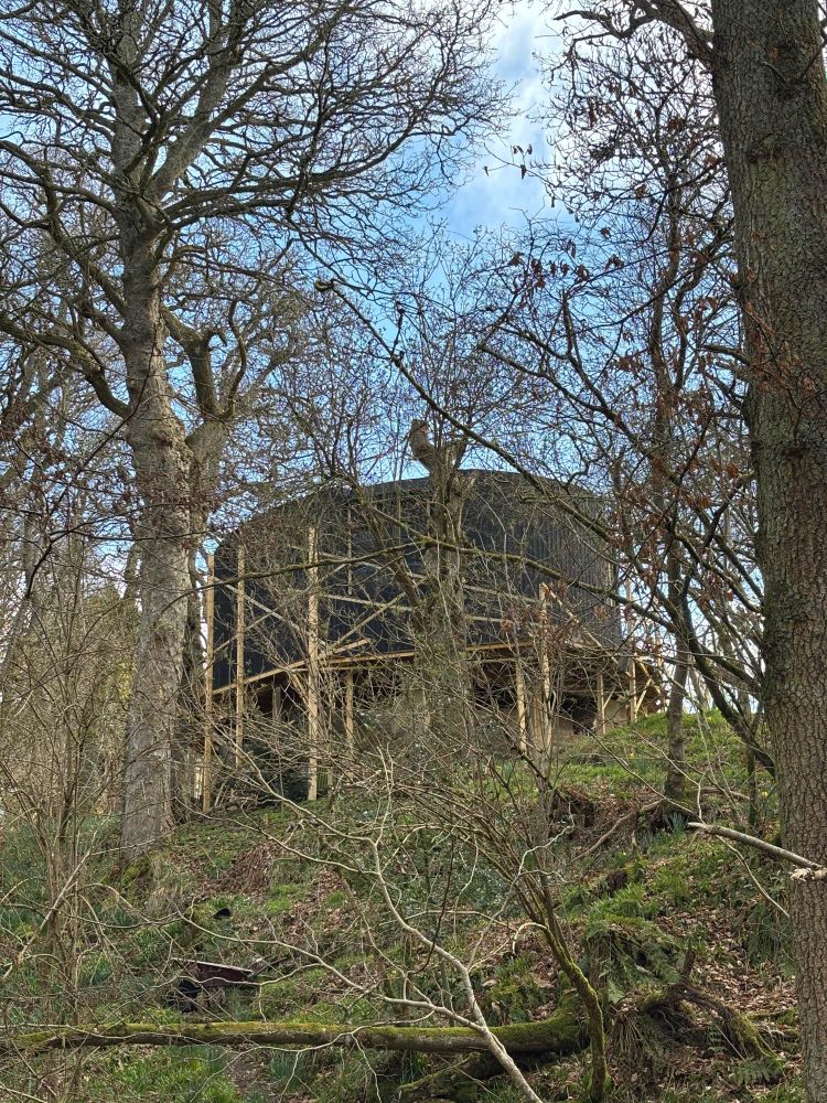 a black-clad, curved-wall cabin surrounded by trees