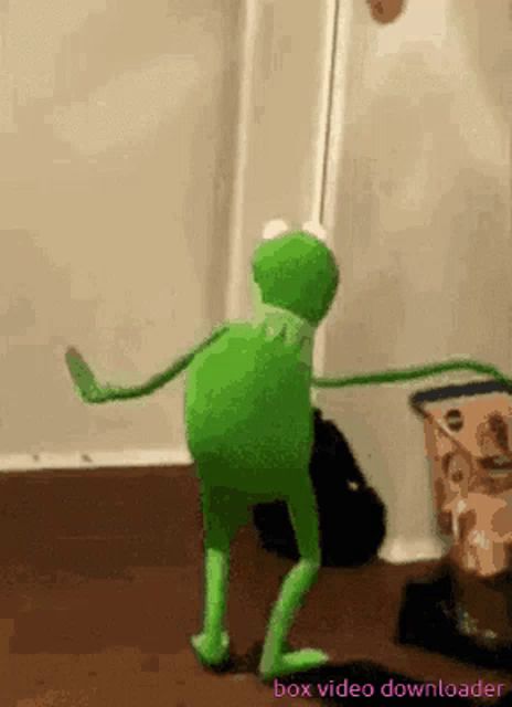 kermit the frog is dancing in a room with a box video downloader in the corner