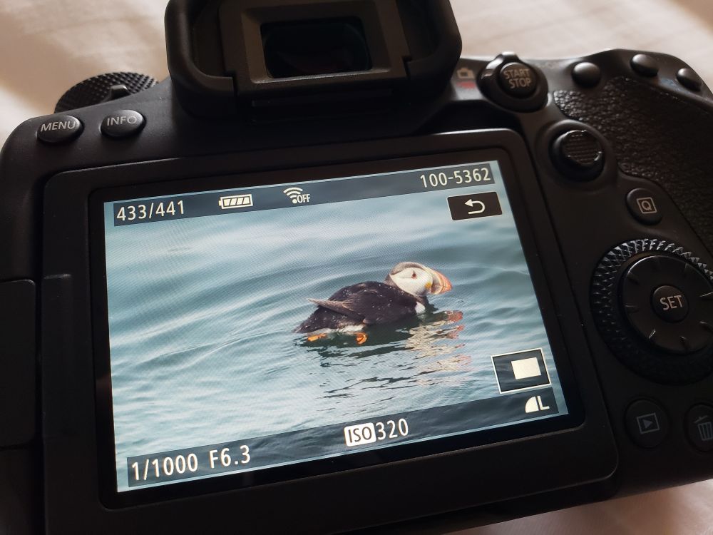 A photo of a camera with an Atlantic Puffin floating in the ocean on the monitor screen.