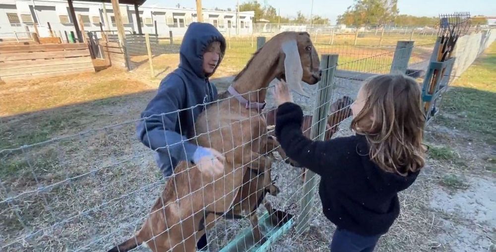 When classes begin this week at one public charter school in Florida, some of the lessons will be taught in barns and animal pens. Colleen Bradford Krantz of Iowa PBS reports.