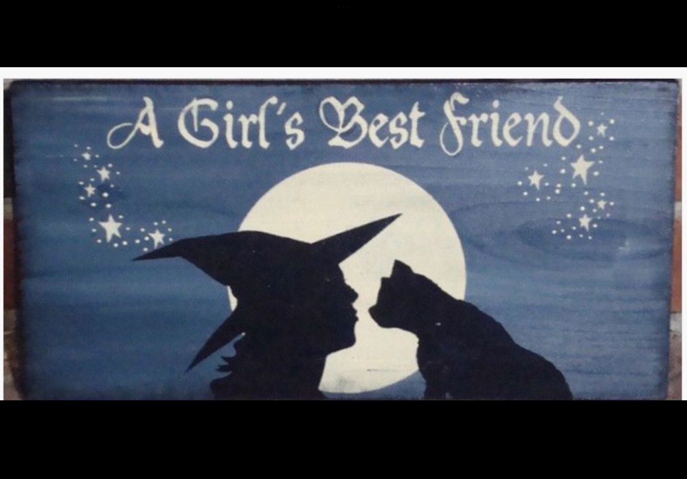 A blue background with a full moon and a girl in a witches hat and a cat faces almost touching with the text A Girls Best Friend 