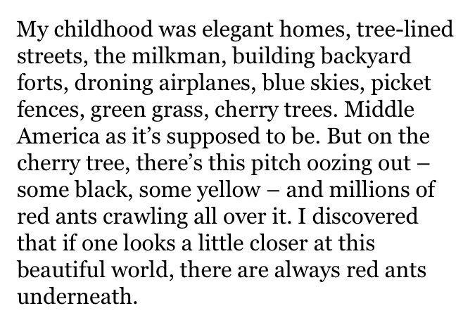 My childhood was elegant homes, tree-lined streets, the milkman, building backyard forts, droning airplanes, blue skies, picket fences, green grass, cherry trees. Middle America as it’s supposed to be. But on the cherry tree, there’s this pitch oozing out – some black, some yellow – and millions of red ants crawling all over it. I discovered that if one looks a little closer at this beautiful world, there are always red ants underneath.