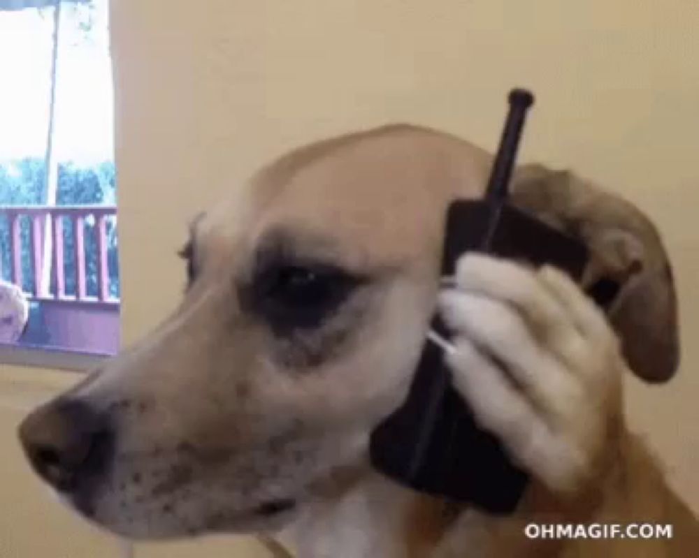 a dog is talking on a walkie talkie with the website ohmagif.com in the corner